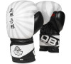 Boxerské rukavice DBX BUSHIDO B-2v8