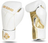 Boxerské rukavice DBX BUSHIDO B-2v19