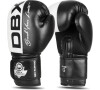 Boxerské rukavice DBX BUSHIDO B-2v20