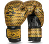 Boxerské rukavice DBX BUSHIDO B-2v23