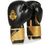 Boxerské rukavice DBX BUSHIDO B-2v10