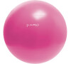 Gymnastický míč HMS YB01N 55 cm růžový