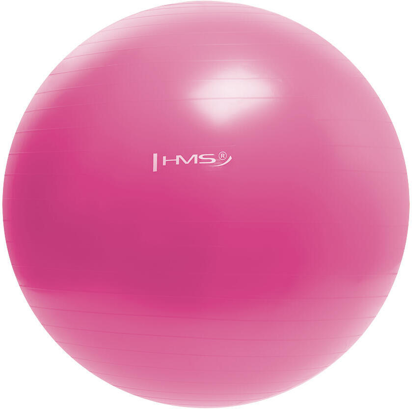 Gymnastický míč HMS YB01N 55 cm růžový