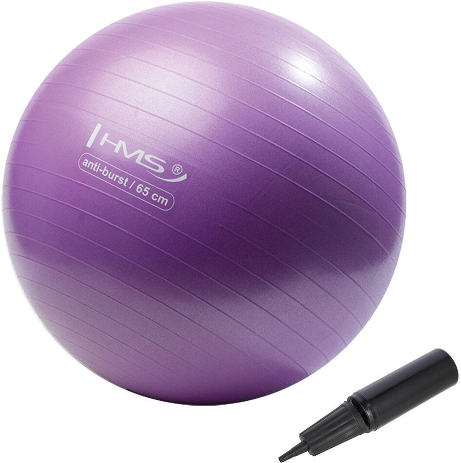Gymnastický míč HMS YB02N 65 cm fialový