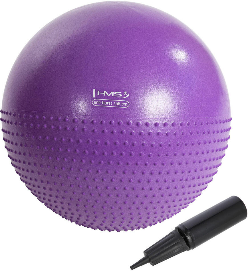 Masážní gymnastický míč HMS YB03N 55 cm fialový