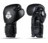 Boxerské rukavice DBX BUSHIDO B-ProFight