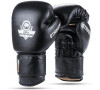 Boxerské rukavice DBX BUSHIDO Striker