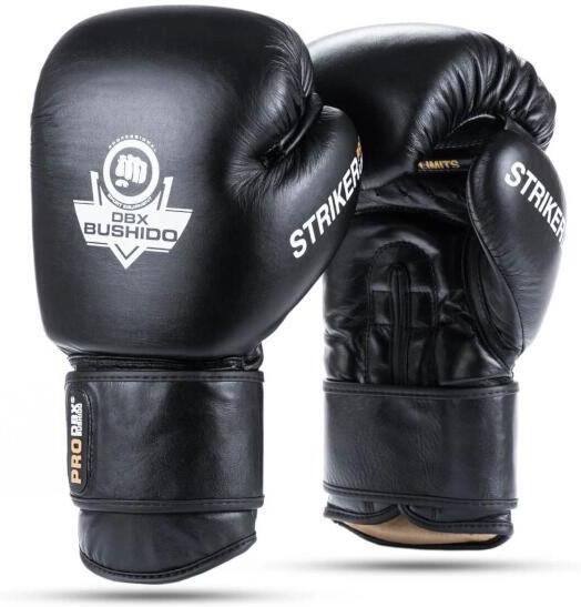 Boxerské rukavice DBX BUSHIDO Striker