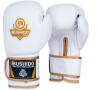 Boxerské rukavice DBX BUSHIDO DBD-B-2