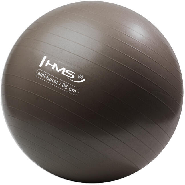 Gymnastický míč HMS YB02N 65 cm bronzový