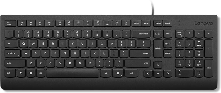 Lenovo Essential Wired Keyboard (Black) - Slovak 245/PS/2/SK/Černá (4Y41R64664)