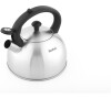 Tefal Stainless steel kettle 2,5 L