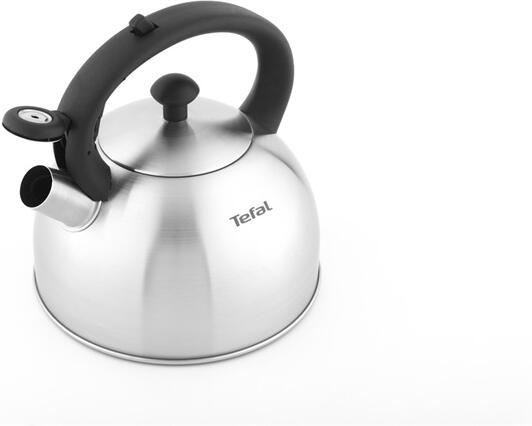 Tefal Stainless steel kettle 2,5 L