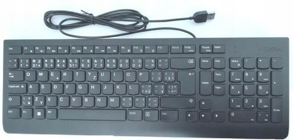 Lenovo Essential Wired Keyboard/Drátové USB-A/CZ/SK/Černá (4Y41C68691)