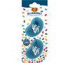 Jelly Belly Vent Stick Blueberry 2 pack - Borůvka