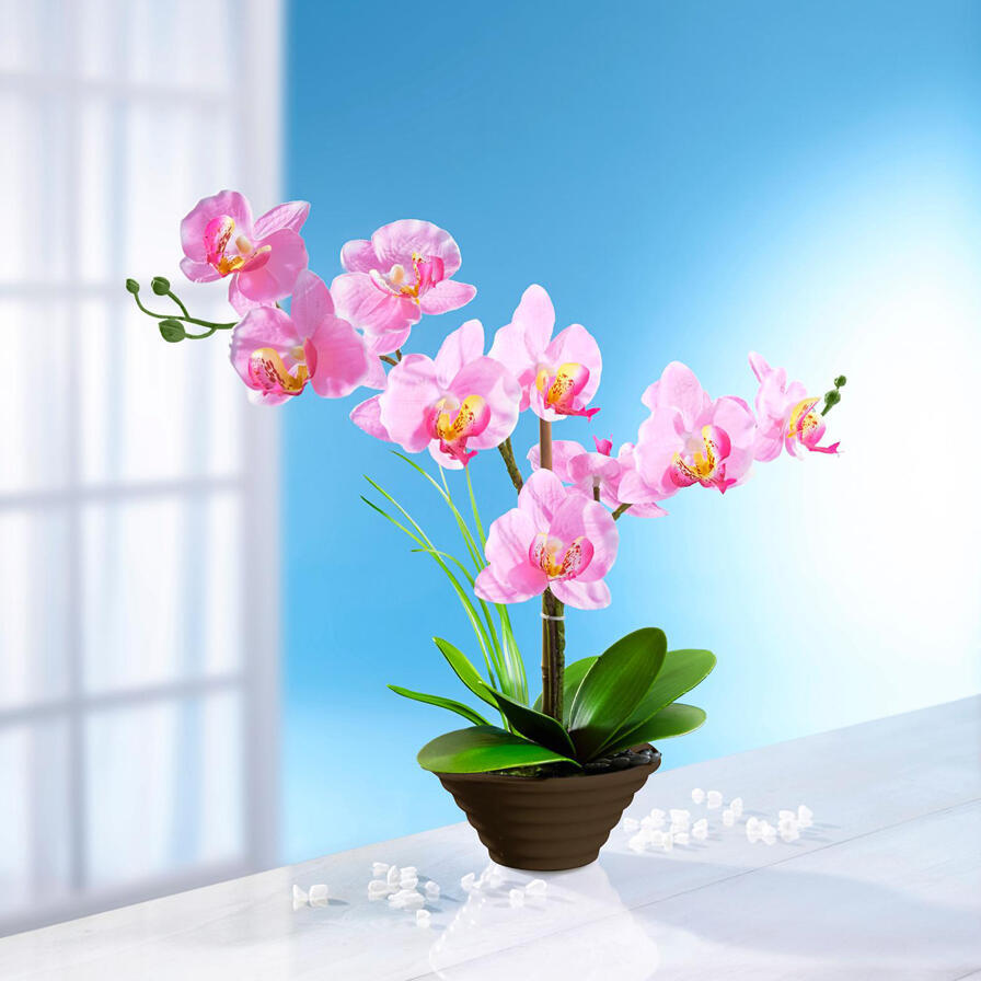 Moderne-hausfrau dekorační růžová orchidej