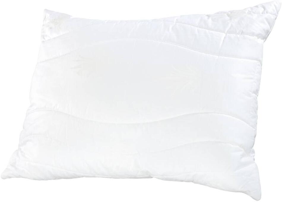 Polštář Tropico Aloe Vera 1000g 70x90