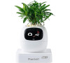 Ivy 2 gen. bílý PLANTSIO