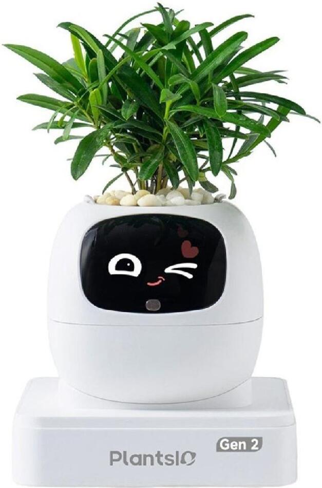 Ivy 2 gen. bílý PLANTSIO