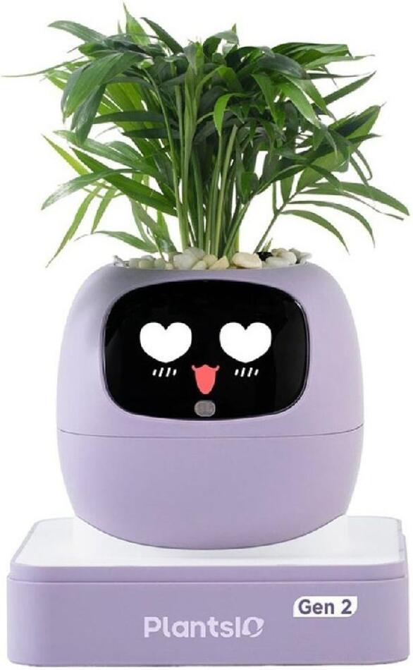 Ivy 2 gen. fialový PLANTSIO