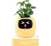 Ivy 2 gen. žlutý PLANTSIO