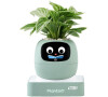 Ivy 2 gen. zelený PLANTSIO