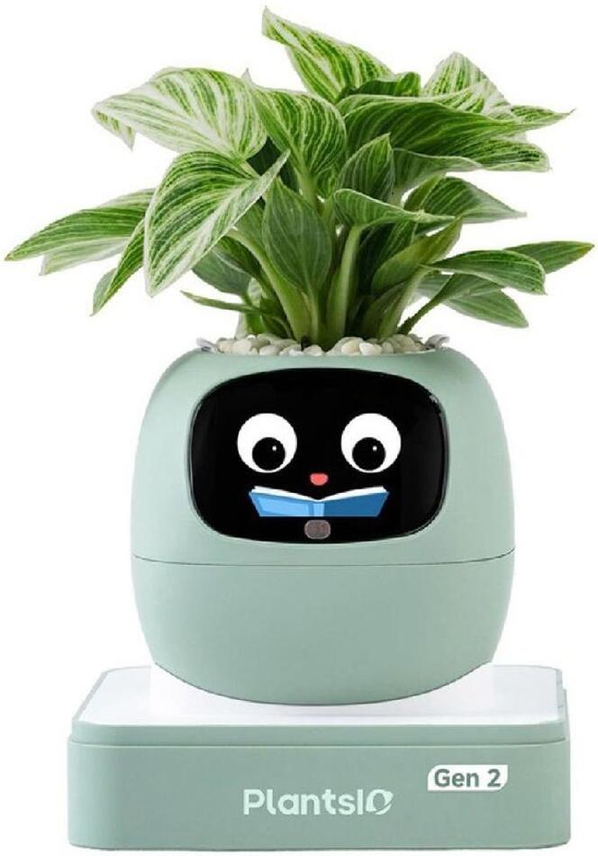 Ivy 2 gen. zelený PLANTSIO