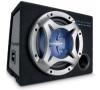 Autosubwoofer Pioneer TS-WX301