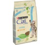 Granule Purina Cat Chow Kitten 1,5 kg