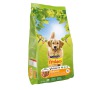 Granule Friskies Balance 15 kg
