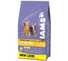 Granule Iams Kitten rich in Chicken 10 kg