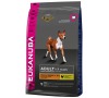 Granule Eukanuba Adult Medium Breed 15 kg