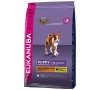 Granule Eukanuba Puppy & Junior Medium Breed 15 kg