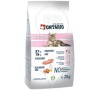 Granule ONTARIO Kitten 2 kg