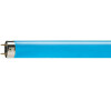 MASTER TL-D 36W/18 Lineární zářivka 36W 960lm Philips