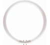 Zářivková trubice PHILIPS MASTER TL5 Circular 22W/840 Philips