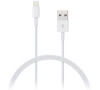 Kabel Connect IT USB/Lightning, 1m - bílý