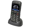 Mobilní telefon Aligator A620 - černý