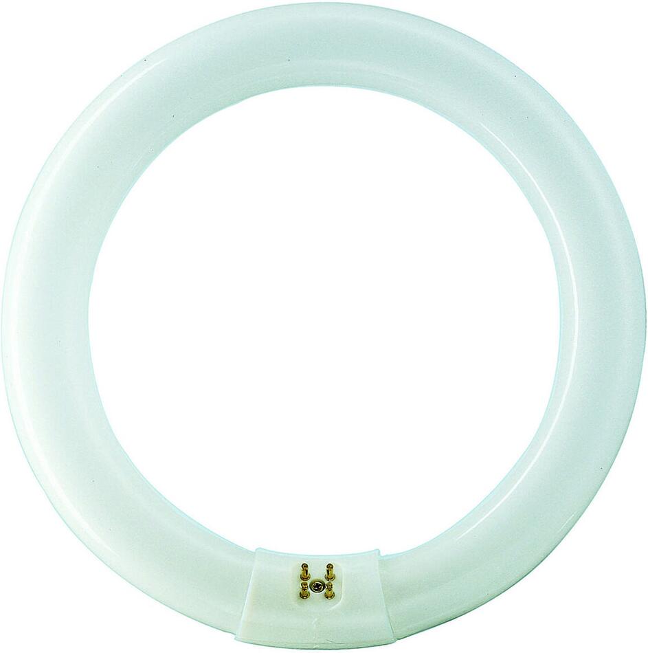 MASTER TL-E Circular Super 80 40W/840 1CT Kruhová zářivka 40W 4000lm Philips