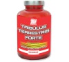 ATP TRIBULUS TERRESTRIS FORTE 250 tablet
