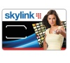 Karta SkyLink