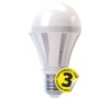 LED žárovka Premium A60 12W E27 teplá bílá