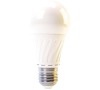 LED žárovka Classic A60 8W E27 denní bílá