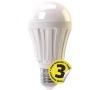 LED žárovka Premium A60 15W E27 denní bílá