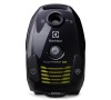 Vysavač Electrolux ZPFGREEN PowerForce
