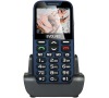 Mobilní telefon Evolveo EVOLVEO EasyPhone XD pro seniory - modrý
