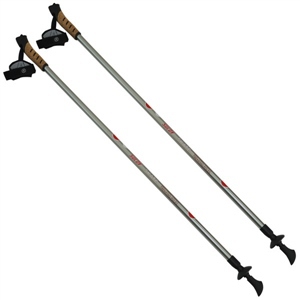 Skatingová hůl Sulov Skate, 1 pár - šedá