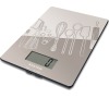 Salter 1102GYDR