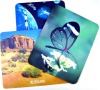 Media-Tech Basic MousePad MT253