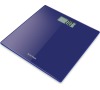 Salter 9069BL3R